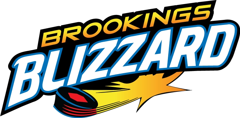 brookings blizzard 2012-pres wordmark logo iron on heat transfer